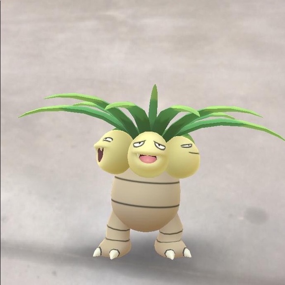 Meet your Posher, Mayra - Picture 1 of 1